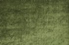 View FOREST GREEN