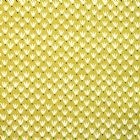 View OCHRE