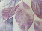 View LILAC 