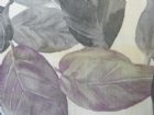 View PLUM 