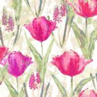 View FUCHSIA