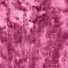 View CARNATION 04