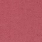 View RASPBERRY 06