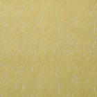 View CITRUS 02