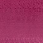 View SORBET 14