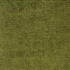 View OLIVE 05
