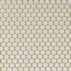 View IVORY 04