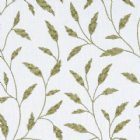 View OLIVE 06
