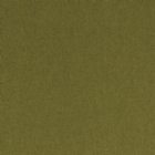 View OLIVE 22