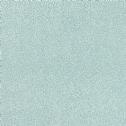 View MINERAL/SILVER 02