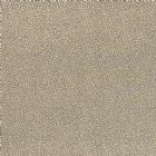 View TAUPE/GOLD 03