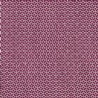 View RASPBERRY 10
