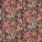 View FOREST/RASPBERRY 01