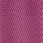 View RASPBERRY