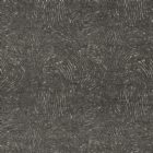 View CHARCOAL 01