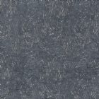 View DENIM 04