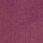 View RASPBERRY
