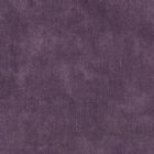 View GRAPE 21