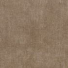 View LATTE 26