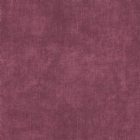 View RASPBERRY 37