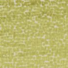 View CITRUS 01