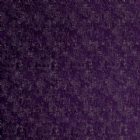 View PURPLE