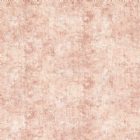 View BLUSH