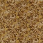 View OCHRE 01