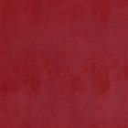 View RED* 02