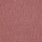 View RASPBERRY 19