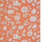 View CORAL BLUSH
