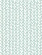 View SEAFOAM 08*