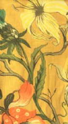 View OCHRE