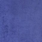 View BLUEBERRY