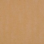 View OCHRE