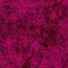 View FUCHSIA