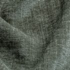 View FERN 42