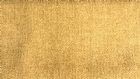 View GOLD