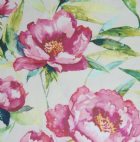 View PEONY