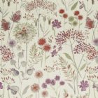 View PLUM CREAM
