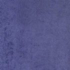 View BLUEBERRY