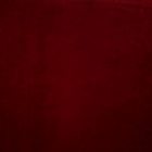 View RUBY 302