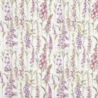 View CROCUS 497