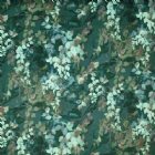 View IVY 645