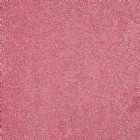 View RASPBERRY