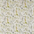 View FENNEL 281