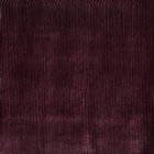 View PLUM