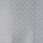 View SILVER 909