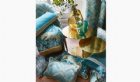 View MONSOON COLLECTION