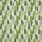 View CACTUS 397